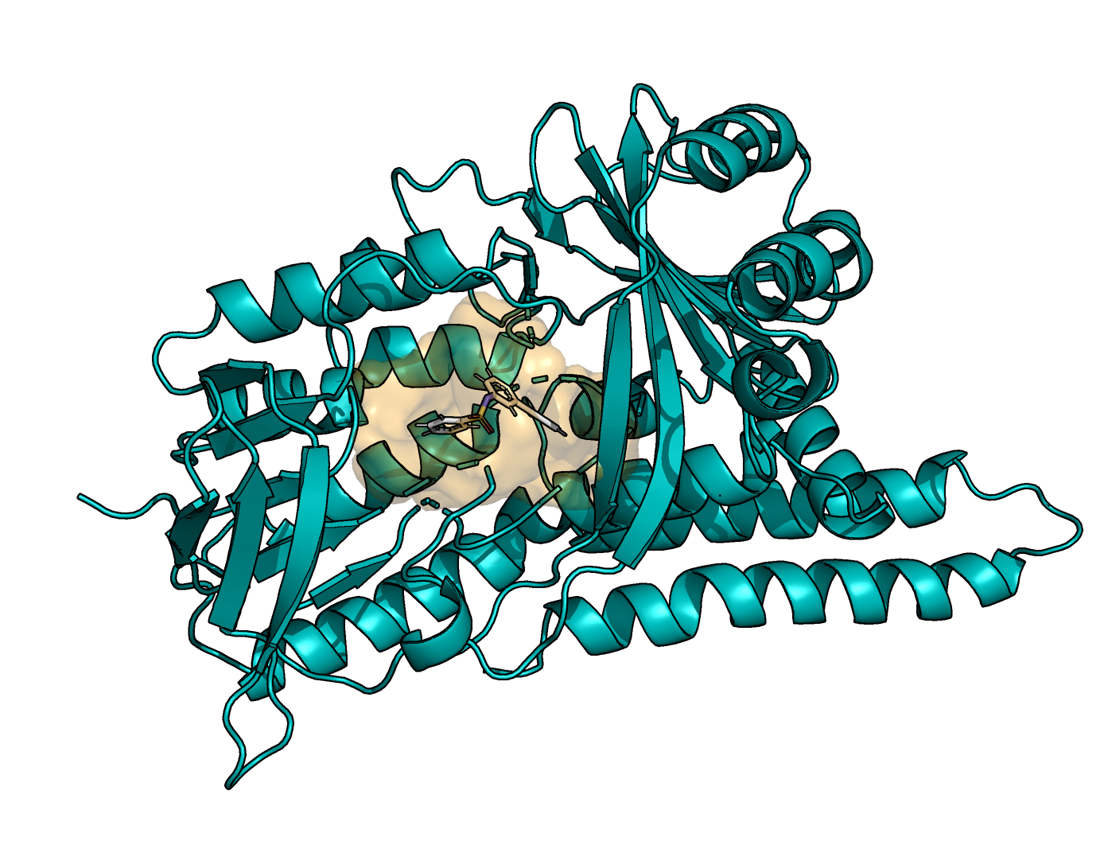 CBio3 Lab | Computational Biophysics, Biology & Bioinformatics · UCR